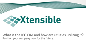 What is IEC CIM – English