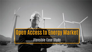 Open Access to Energy Market