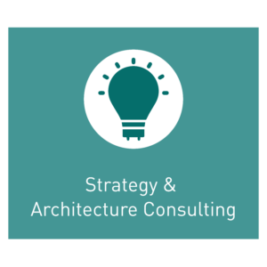 strategy and architecture consulting