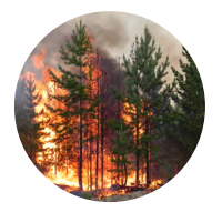 weather and wild fire analytics